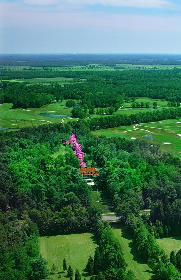 Boutique Hotel Huize Rustoord Esbeek Zewnętrze zdjęcie
